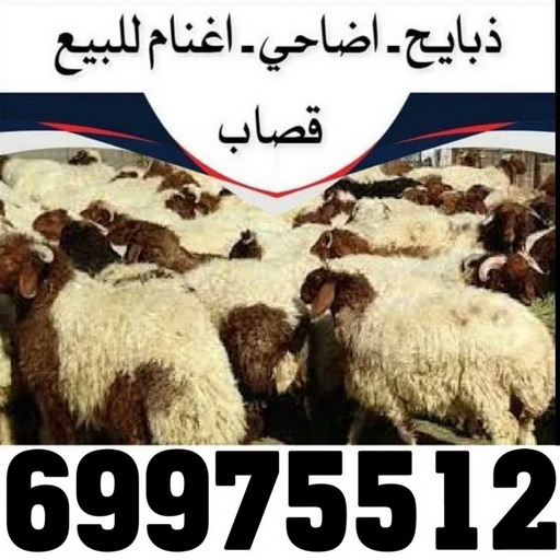المنيوم – فني المنيوم – المنيوم الكويت – باكستاني مالك📞65152750 – شتر - فني شتر - فني المنيوم باكستاني – معلم المنيوم – تركيب المنيوم – تصليح المنيوم – ابواب المنيوم – شباك المنيوم – مطابخ المنيوم 10 2 المنيوم – فني المنيوم – المنيوم الكويت – باكستاني مالك📞65152750 – شتر - فني شتر - فني المنيوم باكستاني – معلم المنيوم – تركيب المنيوم – تصليح المنيوم – ابواب المنيوم – شباك المنيوم – مطابخ المنيوم