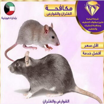 مكافحة حشرات - المحترفون 📞50464050 - شركة مكافحة حشرات - مكافحة حشرات وقوارض - مكافحة بق - رش صراصير - مكافحة نمل - شركة حشرات - مكافحة فئران