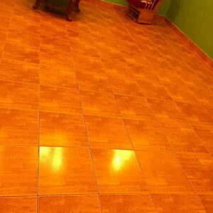 237 مكافحة حشرات - مكافحة حشرات وقوارض - الاتصال 50464050 - شركة حشرات - شركة مكافحة حشرات - مكافحة بق - مكافحة قوارض - مكافحة حشرات الكويت