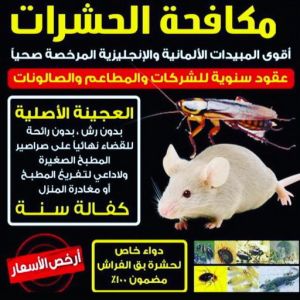 WhatsApp Image 2020 12 28 at 12.01.54 AM مكافحة حشرات - مكافحة حشرات وقوارض - الاتصال 50464050 - شركة حشرات - شركة مكافحة حشرات - مكافحة بق - مكافحة قوارض - مكافحة حشرات الكويت