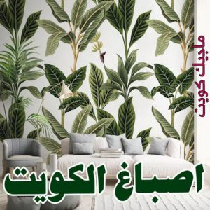 صباغ صباح الناصر - اصباغ صباح الناصر - بالكويت 99007654 - صباغ صباح الناصر رخيص - صباغ في صباح الناصر - رقم صباغ صباح الناصر - صباغ رخيص صباح الناصر 7 اصباغ الكويت