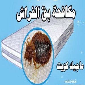 مكافحة بق مكافحة حشرات - مكافحة حشرات وقوارض - الاتصال 50464050 - شركة حشرات - شركة مكافحة حشرات - مكافحة بق - مكافحة قوارض - مكافحة حشرات الكويت